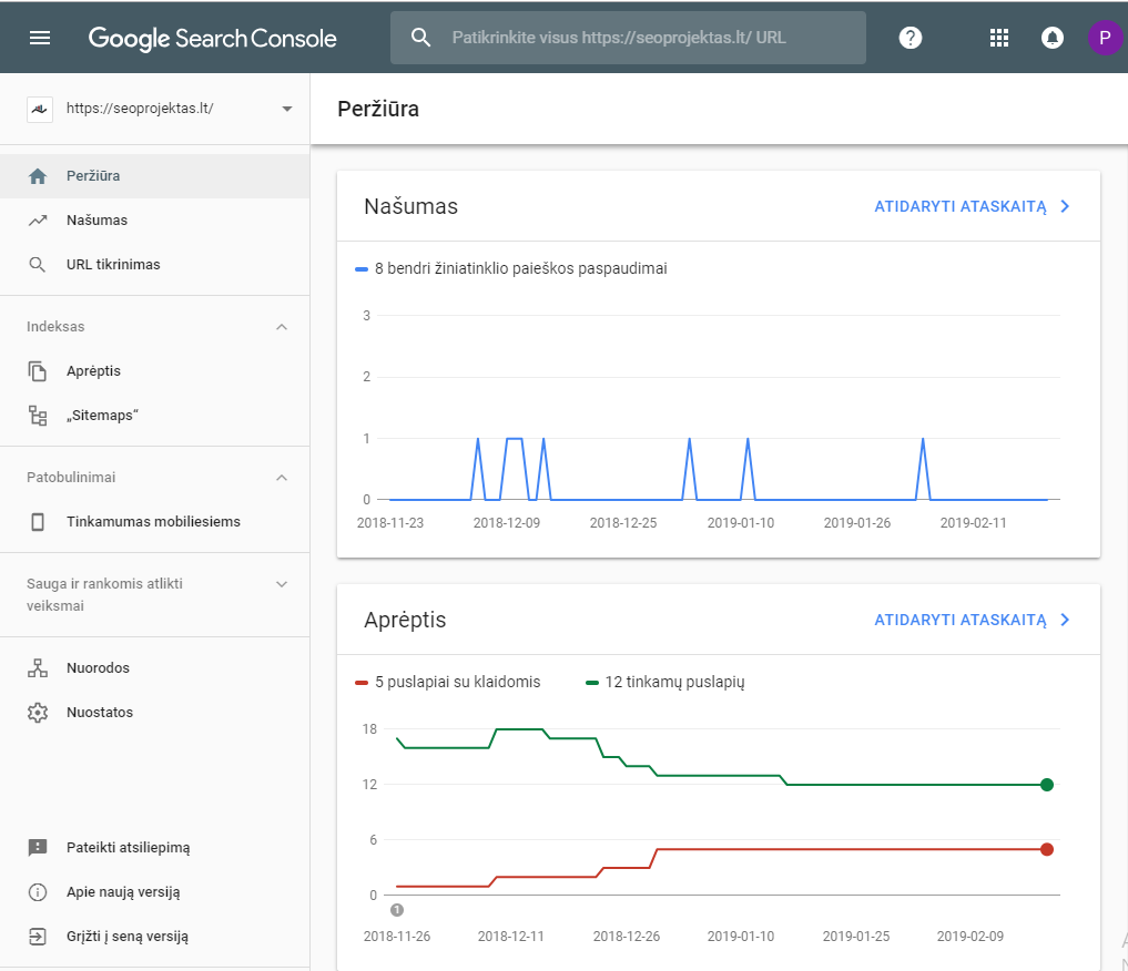 Google Webmasters pagrindinio puslapio pavyzdys
